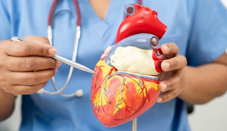 Cardiovascular medications